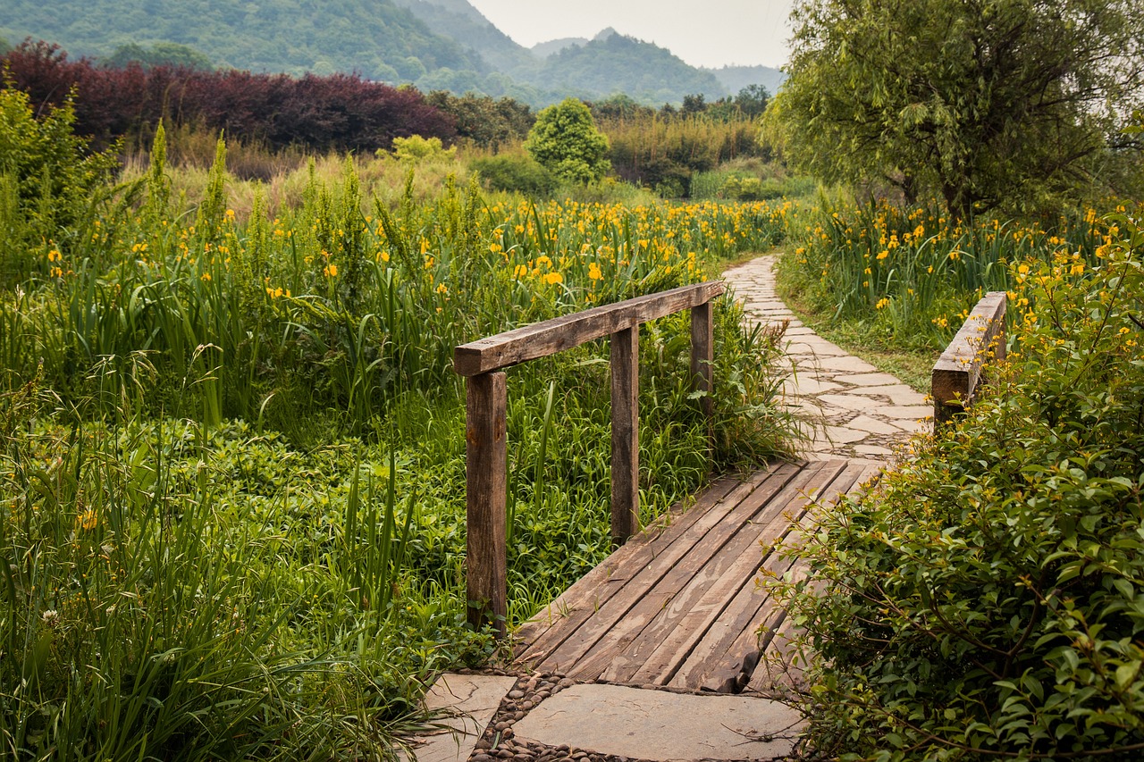 时间管理大师是什么梗